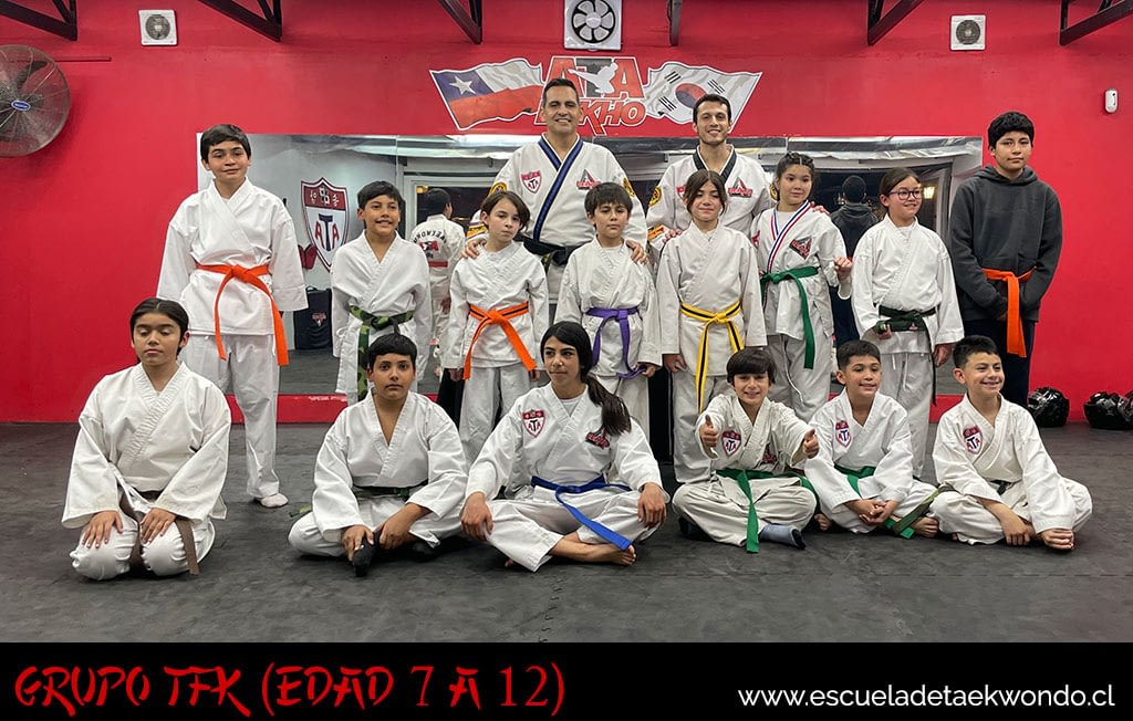 Grupo de Programa TFK