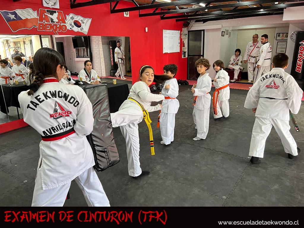 Examen de cinturón TFK-julio 2023