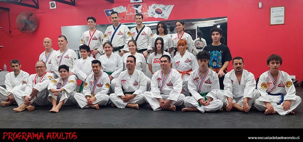 Programa de taekwondo para jóvenes y adultos