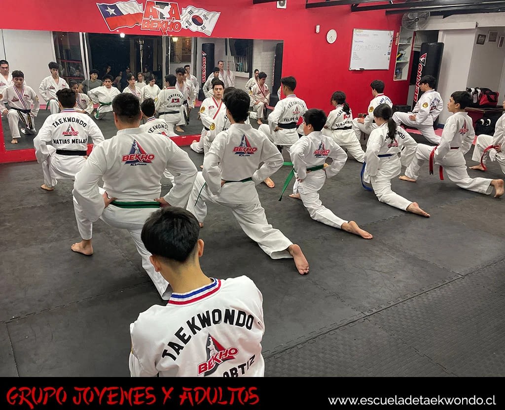 Examen de cinturón grupo TFK